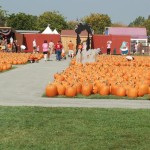 long island pumpkin picking