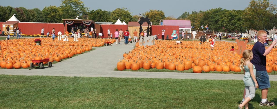 long island pumpkin picking